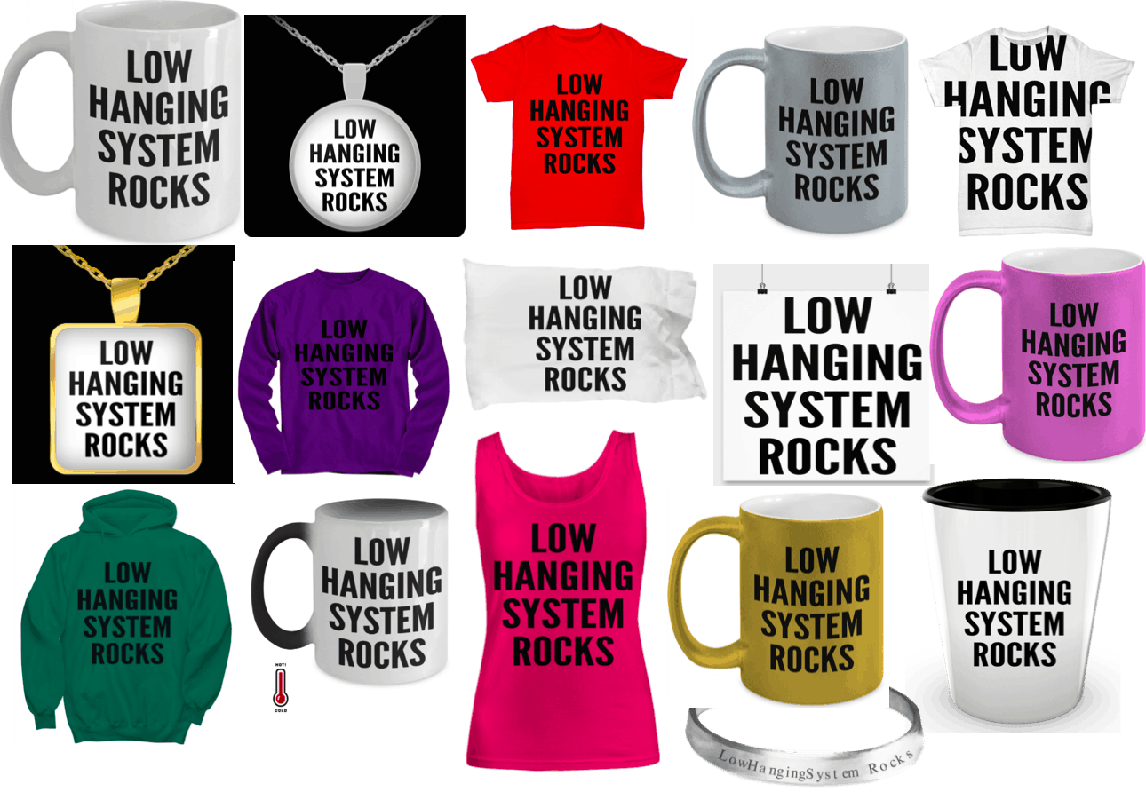 Low hanging system scam
